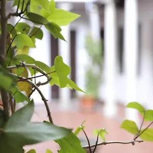 Adanar-las Columnas Appartement Grenade